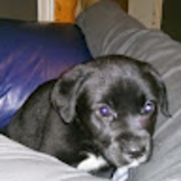 Meet your Posher, J - Picture 1 of 1